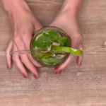 recette du mojito, version mocktail avec thé et sans alcool